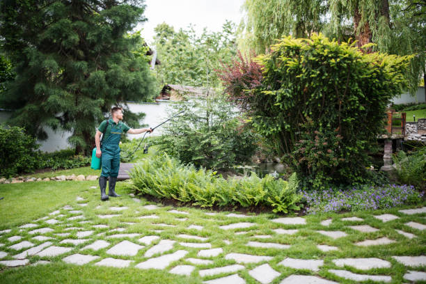 Best Pest Prevention Services  in Spring Lake Heights, NJ