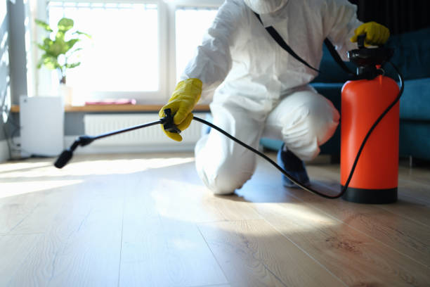 Best Wasp Removal Services  in Spring Lake Heights, NJ