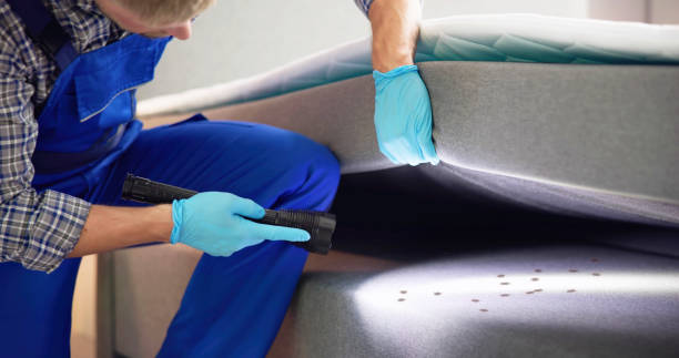 Best Flea Control Services  in Spring Lake Heights, NJ